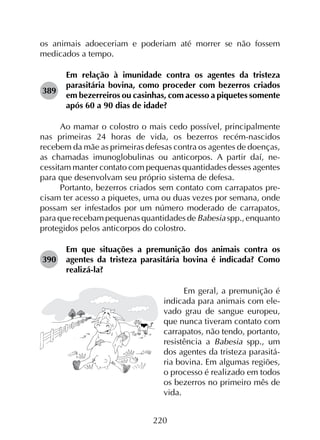220
os animais adoeceriam e poderiam até morrer se não fossem
medicados a tempo.
389	
Em relação à imunidade contra os agentes da tristeza
parasitária bovina, como proceder com bezerros criados
em bezerreiros ou casinhas, com acesso a piquetes somente
após 60 a 90 dias de idade?
Ao mamar o colostro o mais cedo possível, principalmente
nas primeiras 24 horas de vida, os bezerros recém-nascidos
recebem da mãe as primeiras defesas contra os agentes de doenças,
as chamadas imunoglobulinas ou anticorpos. A partir daí, ne­
cessitam manter contato com pequenas quantidades desses agentes
para que desenvolvam seu próprio sistema de defesa.
Portanto, bezerros criados sem contato com carrapatos pre­
cisam ter acesso a piquetes, uma ou duas vezes por semana, onde
possam ser infestados por um número moderado de carrapatos,
para que recebam pequenas quantidades de Babesia spp., enquanto
protegidos pelos anticorpos do colostro.
390	
Em que situações a premunição dos animais contra os
agentes da tristeza parasitária bovina é indicada? Como
realizá-la?
Em geral, a premunição é
indicada para animais com ele-
vado grau de sangue europeu,
que nunca tiveram contato com
carrapatos, não tendo, portanto,
resistência a Babesia spp., um
dos agentes da tristeza parasitá-
ria bovina. Em algumas regiões,
o processo é realizado em todos
os bezerros no primeiro mês de
vida.
 