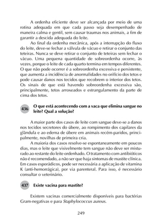 249
A ordenha eficiente deve ser alcançada por meio de uma
rotina adequada em que cada passo seja desempenhado de
maneira calma e gentil, sem causar traumas nos animais, a fim de
garantir a descida adequada do leite.
Ao final da ordenha mecânica, após a interrupção do fluxo
do leite, deve-se fechar a válvula de vácuo e retirar o conjunto das
teteiras. Nunca se deve retirar o conjunto de teteiras sem fechar o
vácuo. Uma pequena quantidade de sobreordenha ocorre, às
vezes, porque o leite de cada quarto termina em tempos diferentes.
O que não pode ocorrer é a sobreordenha excessiva e persistente,
que aumenta a incidência de anormalidades no orifício dos tetos e
pode causar danos nos tecidos que recobrem o interior dos tetos.
Os sinais de que está havendo sobreordenha excessiva são,
principalmente, tetos arroxeados e estrangulamento da parte de
cima dos tetos.
436	
O que está acontecendo com a vaca que elimina sangue no
leite? Qual a solução?
A maior parte dos casos de leite com sangue deve-se a danos
nos tecidos secretores do úbere, ao rompimento dos capilares da
glândula e ao edema de úbere em animais recém-paridos, princi­
palmente, novilhas de primeira cria.
A maioria dos casos resolve-se espontaneamente em poucos
dias, mas o leite que visivelmente tem sangue não deve ser mistu­
rado ao restante do leite ordenhado. O tratamento com antibióticos
não é recomendado, a não ser que haja sintomas de mastite clínica.
Em casos esporádicos, pode ser necessária a aplicação de vitamina
K (anti-hemorrágica), por via parenteral. Para isso, é necessário
consultar o veterinário.
437	 Existe vacina para mastite?
Existem vacinas comercialmente disponíveis para bactérias
Gram-negativas e para Staphylococcus aureus.
 