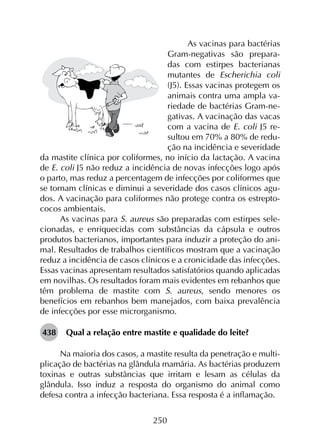 250
As vacinas para bactérias
Gram-negativas são prepara-
das com estirpes bacterianas
mutantes de Escherichia coli
(J5). Essas vacinas protegem os
animais contra uma ampla va-
riedade de bactérias Gram-ne-
gativas. A vacinação das vacas
com a vacina de E. coli J5 re-
sultou em 70% a 80% de redu-
ção na incidência e severidade
da mastite clínica por coliformes, no início da lactação. A vacina
de E. coli J5 não reduz a incidência de novas infecções logo após
o parto, mas reduz a percentagem de infecções por coliformes que
se tornam clínicas e diminui a severidade dos casos clínicos agu-
dos. A vacinação para coliformes não protege contra os estrepto-
cocos ambientais.
As vacinas para S. aureus são preparadas com estirpes sele­
cionadas, e enriquecidas com substâncias da cápsula e outros
produtos bacterianos, importantes para induzir a proteção do ani­
mal. Resultados de trabalhos científicos mostram que a vacinação
reduz a incidência de casos clínicos e a cronicidade das infecções.
Essas vacinas apresentam resultados satisfatórios quando aplicadas
em novilhas. Os resultados foram mais evidentes em rebanhos que
têm problema de mastite com S. aureus, sendo menores os
benefícios em rebanhos bem manejados, com baixa prevalência
de infecções por esse microrganismo.
438	 Qual a relação entre mastite e qualidade do leite?
Na maioria dos casos, a mastite resulta da penetração e multi­
plicação de bactérias na glândula mamária. As bactérias produzem
toxinas e outras substâncias que irritam e lesam as células da
glândula. Isso induz a resposta do organismo do animal como
defesa contra a infecção bacteriana. Essa resposta é a inflamação.
 