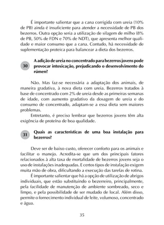 35
É importante salientar que a cana corrigida com ureia (10%
de PB) ainda é insuficiente para atender a necessidade de PB dos
bezerros. Outra opção seria a utilização de silagem de milho (8%
de PB, 50% de FDN e 70% de NDT), que apresenta melhor quali­
dade e maior consumo que a cana. Contudo, há necessidade de
suplementação proteica para balancear a dieta dos bezerros.
30	
A adição de ureia no concentrado para bezerros jovens pode
provocar intoxicação, prejudicando o desenvolvimento do
rúmen?
Não. Mas faz-se necessária a adaptação dos animais, de
maneira gradativa, à nova dieta com ureia. Bezerros tratados à
base de concentrado com 2% de ureia desde as primeiras semanas
de idade, com aumento gradativo da dosagem de ureia e do
consumo de concentrado, adaptam-se a essa dieta sem maiores
problemas.
Entretanto, é preciso lembrar que bezerros jovens têm alta
exigência de proteína de boa qualidade.
31	
Quais as características de uma boa instalação para
bezerros?
Deve ser de baixo custo, oferecer conforto para os animais e
facilitar o manejo. Acredita-se que um dos principais fatores
relacionados à alta taxa de mortalidade de bezerros jovens seja o
uso de instalações inadequadas. E certos tipos de instalação exigem
muita mão de obra, dificultando a execução das tarefas de rotina.
É importante salientar que há a opção de utilização de abrigos
individuais, que estão substituindo o bezerreiro, principalmente,
pela facilidade de manutenção de ambiente sombreado, seco e
limpo, e pela possibilidade de ser mudado de local. Além disso,
permite o fornecimento individual de leite, volumoso, concentrado
e água.
 