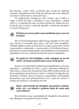43
dos bovinos, assim como a proteína que escapa da digestão
ruminal é degradada em AA. Parte do alimento que não é digerido
no rúmen é eliminada na forma de fezes.
Os suplementos energéticos mais comuns são o milho, o
sorgo, o farelo de trigo, a mandioca e seus coprodutos, a polpa
cítrica e a casquinha de soja. Já entre os proteicos, destacam-se o
farelo de soja, o farelo e a torta de algodão, o farelo de amendoim
e o farelo de girassol.
42	
Proteína em excesso pode causar problemas para vacas em
lactação?
Sim. O excesso de proteína sobrecarrega o fígado e os rins, pois
esse excesso é excretado pela urina, com alto custo energético.
Também significa maior custo financeiro, já que a parte mais cara do
concentrado é, exatamente, a fração proteica. Há indícios de que a
proteína em excesso também pode causar problemas no desempenho
reprodutivo. Por isso, o balanceamento de rações é importante.
43	
Do ponto de vista fisiológico, existe vantagem no uso de
rações com pouca proteína para vacas em lactação?
Baixos níveis de proteína reduzem principalmente o consumo
alimentar e a produção de leite, o que é altamente indesejável.
Além disso, o baixo teor de proteína bruta (PB) na dieta resulta em
baixa população microbiana no rúmen e redução da digestão dos
alimentos. Portanto, deve-se fornecer a quantidade recomendada
de proteína, que varia principalmente com o peso do animal, o
estágio da lactação e a produção de leite.
44	
Qual o nível máximo de nitrogênio não proteico (amônia,
ureia, etc.), em relação à proteína bruta da ração para
vacas leiteiras?
Recomenda-se que a quantidade de nitrogênio não proteico
não ultrapasse ⅓ da proteína total da dieta.
 