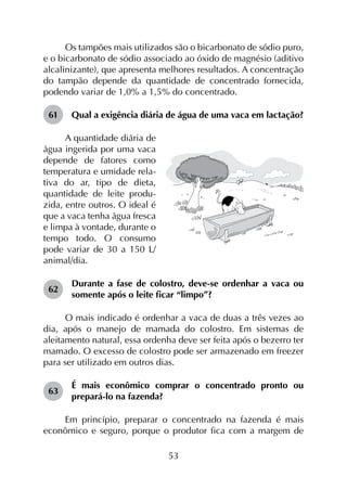 53
Os tampões mais utilizados são o bicarbonato de sódio puro,
e o bicarbonato de sódio associado ao óxido de magnésio (aditivo
alcalinizante), que apresenta melhores resultados. A concentração
do tampão depende da quantidade de concentrado fornecida,
podendo variar de 1,0% a 1,5% do concentrado.
61	 Qual a exigência diária de água de uma vaca em lactação?
A quantidade diária de
água ingerida por uma vaca
depende de fatores como
temperatura e umidade rela­
tiva do ar, tipo de dieta,
quantidade de leite produ­
zida, entre outros. O ideal é
que a vaca tenha água fresca
e limpa à vontade, durante o
tempo todo. O consumo
pode variar de 30 a 150 L/
animal/dia.
62	
Durante a fase de colostro, deve-se ordenhar a vaca ou
somente após o leite ficar “limpo”?
O mais indicado é ordenhar a vaca de duas a três vezes ao
dia, após o manejo de mamada do colostro. Em sistemas de
aleitamento natural, essa ordenha deve ser feita após o bezerro ter
mamado. O excesso de colostro pode ser armazenado em freezer
para ser utilizado em outros dias.
63	
É mais econômico comprar o concentrado pronto ou
prepará-lo na fazenda?
Em princípio, preparar o concentrado na fazenda é mais
econômico e seguro, porque o produtor fica com a margem de
 