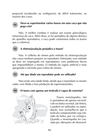 66
prepucial (acrobustite ou umbigueira), de difícil tratamento, na
maioria dos casos.
91	
Deve-se experimentar vários touros em uma vaca que não
pega cria?
Não. A melhor conduta é realizar um exame ginecológico
minucioso da vaca. Além disso, se for portadora de alguma doença
do aparelho reprodutivo, a vaca pode contaminar todos os touros
que a cobrirem.
92	 A eletroejaculação prejudica o touro?
Não. A colheita de sêmen pelo método da eletroejaculação
não causa nenhum prejuízo ao reprodutor. Entretanto, esse método
só deve ser empregado em reprodutores com problemas físicos
que impossibilitam a monta. O método da vagina artificial é mais
apropriado e eficiente para coleta do sêmen.
93	 Até que idade um reprodutor pode ser utilizado?
Não existe uma idade limite, desde que o reprodutor se mostre
sadio, com libido e boa produção de espermatozoides.
94	 O touro com apenas um testículo é capaz de enxertar?
Touros monórquidos, isto
é, portadores de apenas um testí-
culo na bolsa escrotal, são férteis,
e podem ser utilizados na repro-
dução, mas aconselha-se que o
testículo comprometido seja reti-
rado da bolsa, por via cirúrgica.
Quando a monorquidia for cau-
sada por alterações do desenvol-
 
