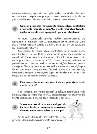 67
vimento testicular, agenesia ou criptorquidia, o portador não deve
ser usado como reprodutor porque a causa determinante da altera-
ção é genética e pode ser transmitida a seus descendentes.
95	
Quais as principais vantagens da monta natural controlada
e da monta natural a campo? Na monta natural controlada,
qual o momento mais apropriado para as coberturas?
A monta controlada permite melhor aproveitamento do
reprodutor e maior controle da reprodução do rebanho, ao passo
que a monta natural a campo é a forma mais fácil e mais barata de
reprodução do rebanho.
No sistema de monta natural controlada, se a relação touro/
vaca for baixa, de até 1/30, a vaca no cio pode ser mantida no
piquete do touro durante o dia todo. Entretanto, se o número de
vacas por touro for superior a 30, a vaca deve ser retirada do
piquete do touro depois de duas ou três cobrições. Em caso de um
touro para 50 vacas ou mais se aconselha apenas uma cobrição por
fêmea para evitar o esgotamento físico do touro. Em dias quentes,
recomenda-se que as cobrições sejam realizadas nas horas mais
frescas (início da manhã ou final da tarde).
96	
Qual a relação touro/vaca mais indicada para sistemas de
monta natural?
Nos sistemas de monta natural, a relação touro/vaca mais
indicada situa-se entre 1/25 e 1/30, ao passo que nos sistemas de
monta controlada, a relação mais indicada é de 1/50.
97	
Se um touro cobrir uma vaca, e depois ela
for inseminada, no mesmo cio, com sêmen
de outro touro, como saber qual é o pai?
Se os touros forem de raças diferentes, o pai
pode ser identificado ao nascimento do bezerro. Se
 