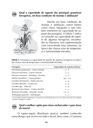 86
138	
Qual a capacidade de suporte das principais gramíneas
forrageiras, em boas condições de manejo e adubação?
Mesmo em boas condições de
manejo e adubação, outros fatores
como clima, topografia e solo tam-
bém interferem na capacidade de su-
porte das pastagens. A Tabela 1 indica
as variações na capacidade de supor-
te de algumas forrageiras, encontra-
das na literatura, sem suplementação
com concentrado e/ou volumoso, na
época das chuvas e/ou de temperatu-
ra e luminosidade elevadas.
Tabela 1. Variações na capacidade de suporte de algumas forrageiras na época
das chuvas e/ou de temperatura e luminosidade elevadas.
Forrageira Capacidade de suporte (UA/ha)1
Pennisetum purpureum – Capim-elefante
Panicum maximum – Capim-colonião
Panicum maximum – Mombaça, Tanzânia
Melinis minutiflora – Capim-gordura
Cynodon nlemfuensis – Estrela-africana
Cynodon dactylon – Coast-cross
Cynodon spp – Tifton 85
Brachiaria decumbens – Cultivar Basilisk
Brachiaria brizantha – Marandu, Xaraés
Andropogon gayanus – Andropogon
3 – 7
3 – 5
3 – 7
0,6 – 1,0
3 – 6
3 – 6
3 – 6
1 – 3
1,5 – 4,0
1 – 3
1
	UA (Unidade Animal) corresponde a um bovino com 450 kg de peso vivo. Os valores mais altos são atingidos
quando a pastagem é irrigada.
139	
Qual o melhor capim para áreas encharcadas e para áreas
de morro?
O capim-angola (Brachiaria mutica), também conhecido
como Bengo, que ocorre em todo o Brasil, bem como a Canarana
 