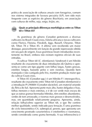 94
prática de associação de culturas anuais com forrageiras, comum
nos sistema integrados de lavoura pecuária (iLP), tem sido mais
frequente com as espécies do gênero Brachiaria, em associação
com culturas de milho, soja, sorgo, feijão, etc.
152	
Quais as principais diferenças morfológicas entre os Tifton
68 e Tifton 85?
As gramíneas do gênero Cynodon pertencem a diversas
cultivares no Brasil: Coast-cross, Estrela-africana e novas cultivares
como Florico, Florona, Florakirk, Jiggs, Russell, Cheyene, Tifton
68, Tifton 78 e Tifton 85. A última vem recebendo um maior
destaque, possivelmente em função da grande repercussão obtida
em seu país de origem. Essas gramíneas foram introduzidas recen­
temente no Brasil, embora não existam registros oficiais de suas
entradas.
A cultivar Tifton 68 (C. nlemfuensis Vanderyst) é um híbrido
resultante do cruzamento de duas introduções do Quênia e apre­
senta-se como um tipo gigante com folhas largas, hastes grossas,
estolões longos, bastante pelos e sem rizomas. Quando bem
manejada e não castigada pelo frio, mantém produção maior que
da cultivar Coast-cross.
A Tifton 85 (Cynodon spp.) é um híbrido F1 interespecífico,
resultante do cruzamento entre Tifton 68 (Cynodon nlemfuensis) e
a introdução PI 290884 (Cynodon dactylon), um material oriundo
da África do Sul. Apresenta porte mais alto, hastes delgadas e lisas,
folhas menores e mais estreitas, e é de cor verde mais escura do
que as outras gramas bermudas híbridas, têm estolões abundantes,
verdes de tom arroxeado, e rizomas mais grossos e desenvolvidos,
mas, em quantidade relativamente pequena. Apresenta, ainda,
relação folha/colmo superior ao Tifton 68, o que lhe confere
melhor qualidade, sendo indicado para fenação. É uma gramínea
de ciclo fotossintético C4, subtropical, perene, que apresenta um
crescimento prostrado característico; é estolonífera e rizomatosa,
sendo considerada como grama bermuda. A sua inflorescência é
 