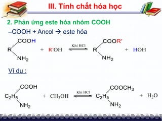–COOH + Ancol  este hóa
III. Tính chất hóa học
2. Phản ứng este hóa nhóm COOH
Ví dụ :
 