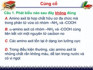 A. Amino axit là hợp chất hữu cơ đa chức mà
trong phân tử vừa có nhóm –NH2 và -COOH
Củng cố
Câu 1. Phát biểu nào sau đây không đúng
B. -amino axit có nhóm –NH2 và -COOH cùng
liên kết với một nguyên tử cacbon no
C. Các amino axit tồn tại ở dạng ion lưỡng cực
D. Trong điều kiện thường, các amino axit là
những chất rắn không màu, dễ tan trong nước và
có vị ngọt
 