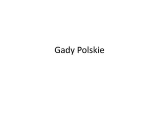Gady Polskie
 