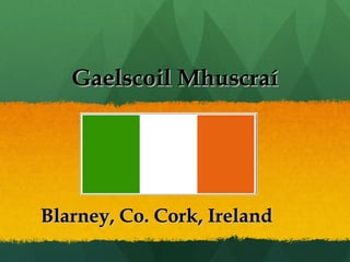 Gaelscoil Mhuscraí




Blarney, Co. Cork, Ireland
 