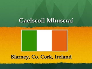 Gaelscoil MhuscraíGaelscoil Mhuscraí
Blarney, Co. Cork, IrelandBlarney, Co. Cork, Ireland
 