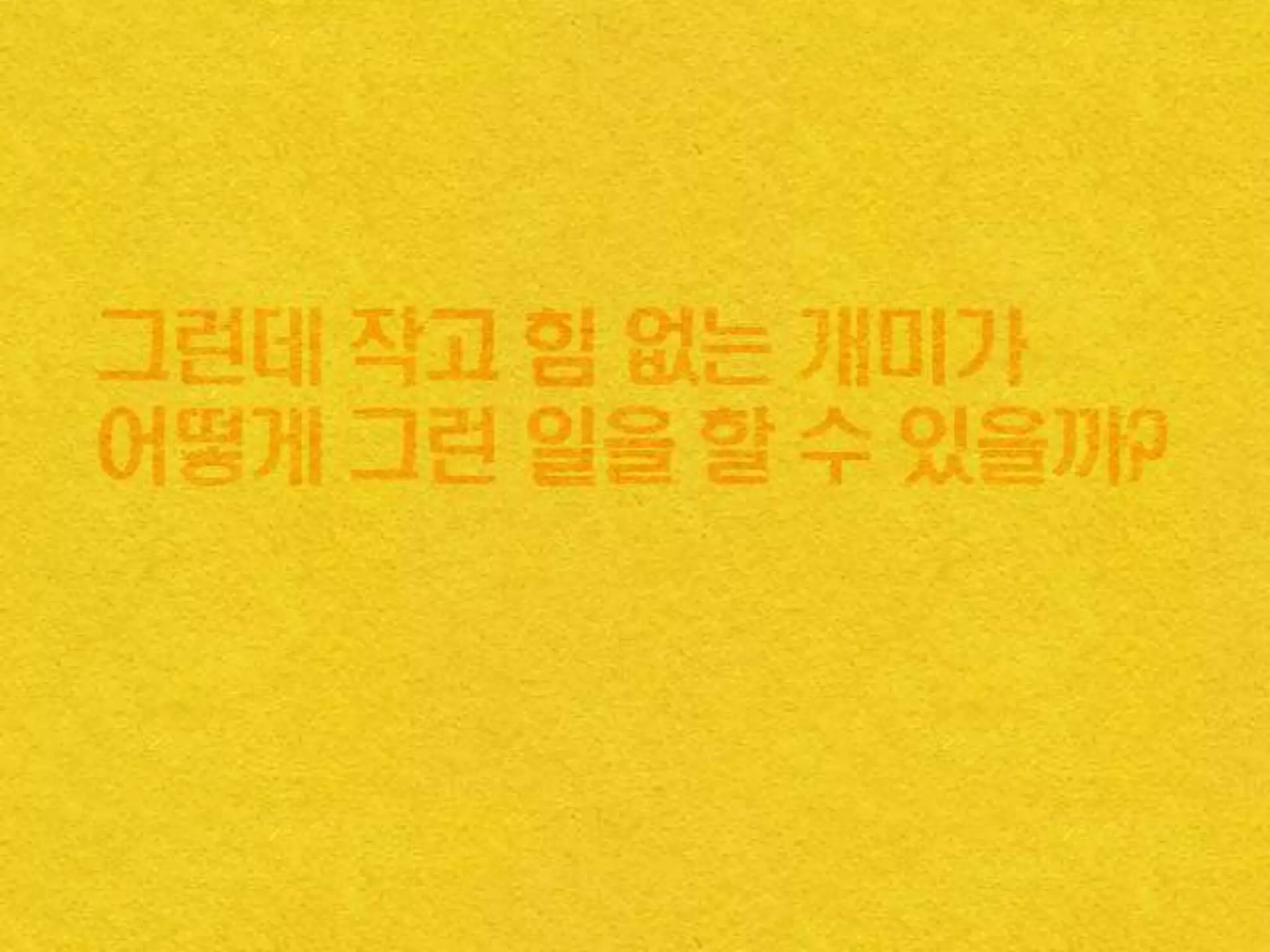 개미뉴스가 궁금해?