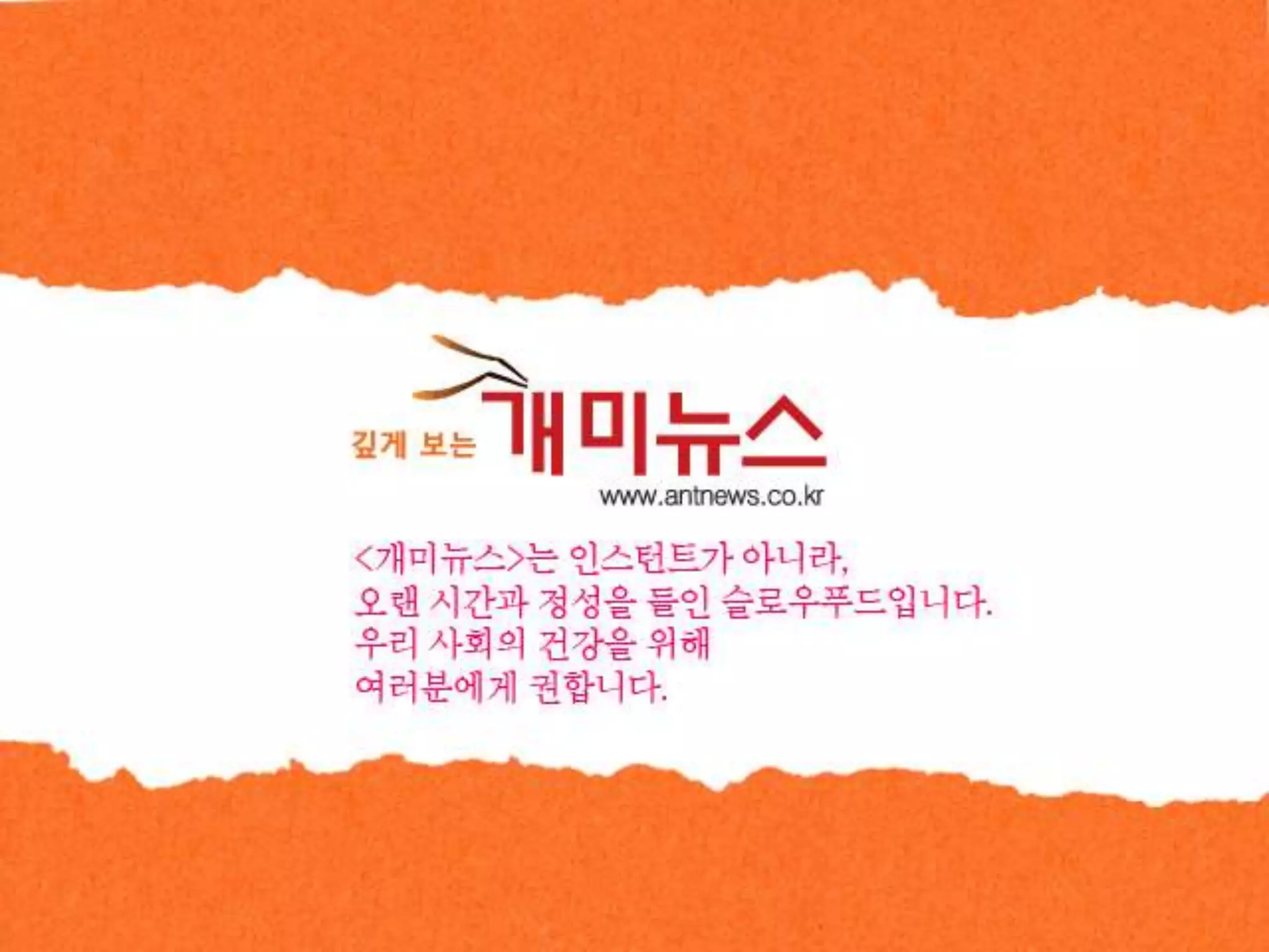 개미뉴스가 궁금해?