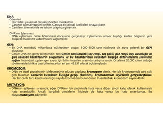 DNA:
Görevleri
• Hücredeki yaşamsal olayları yöneten moleküldür.
• Canlının kalıtsal yapısını belirler. Canlıya ait kalıtsal özellikleri ortaya çıkarır.
• Canlıların üremesinde ve kalıtım olayında görev alır.
DNA'nın Eşlenmesi:
• DNA eşlenmesi hücre bölünmesi öncesinde gerçekleşir. Eşlenmenin amacı; taşıdığı kalıtsal bilgilerin yeni
oluşacak hücrelere aktarılmasını sağlamaktır.
GEN:
• Bir DNA molekülü milyonlarca nükleotitten oluşur. 1000–1500 tane nükleotit bir araya gelerek bir GEN
oluşturur.
• Genler DNA’nın görev birimleridir. Yani Genler canlılardaki saç rengi, saç şekli, göz rengi, boy uzunluğu vb
gibi kalıtsal karakterlerin oluşumunu ve bu karakterlerin kuşaktan kuşağa aktarılmasını (kalıtımı)
sağlar. İnsandaki toplam gen sayısı için bilim insanları arasında tartışma vardır. Ortalama 20.000 civarı olduğu
söylenmekle birlikte bazı bilim insanları en son 46.831 olarak açıklamışlardır.
KROMOZOM:
• DNA ve özel proteinlerin birleşmesiyle oluşan yapılara kromozom denir. Her bir kromozomda pek çok
gen bulunur. Genlerin kuşaktan kuşağa geçişi (kalıtım), kromozomlar sayesinde gerçekleştirilir.
Her bir canlı türü kendisine özgü sayıda kromozom bulundurur. İnsanlardaki kromozom sayısı 46’dır.
MUTASYON:
• DNA’nın eşlemesi sırasında, eğer DNA’nın bir zincirinde hata varsa diğer zincir kalıp olarak kullanılarak
hata onarılabilir. Ancak karşılıklı zincirlerin ikisinde de hata varsa bu hata onarılamaz. Bu
olaya mutasyon adı verilir.
 