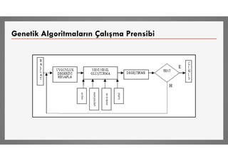 Genetik Algoritmaların Çalışma Prensibi
 