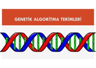 GENETİK ALGORİTMA TERİMLERİ
 