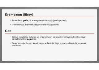 Kromozom (Birey)
• Birden fazla genin bir araya gelerek oluşturduğu diziye denir.
• Kromozomlar, alternatif aday çözümlerini gösterirler.
Gen
• Kalıtsal molekülde bulunan ve organizmanın karakterlerinin tayininde rol oynayan
kalıtsal birimlere gen denir.
• Yapay Sistemlerde gen, kendi başına anlamlı bir bilgi taşıyan en küçük birim olarak
tanımlanır.
 