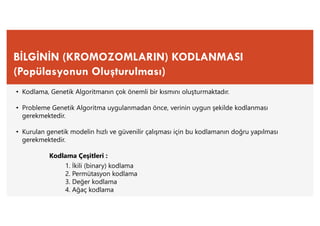 BİLGİNİN (KROMOZOMLARIN) KODLANMASI
(Popülasyonun Oluşturulması)
• Kodlama, Genetik Algoritmanın çok önemli bir kısmını oluşturmaktadır.
• Probleme Genetik Algoritma uygulanmadan önce, verinin uygun şekilde kodlanması
gerekmektedir.
• Kurulan genetik modelin hızlı ve güvenilir çalışması için bu kodlamanın doğru yapılması
gerekmektedir.
Kodlama Çeşitleri :
1. İkili (binary) kodlama
2. Permütasyon kodlama
3. Değer kodlama
4. Ağaç kodlama
 