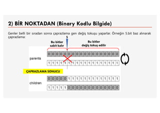 2) BİR NOKTADAN (Binary Kodlu Bilgide)
Genler belli bir sıradan sonra çaprazlama gen değiş tokuşu yaparlar. Örneğin 5.bit baz alınarak
çaprazlama:
Bu bitler
sabit kalır
Bu bitler
değiş tokuş edilir
ÇAPRAZLAMA SONUCU
5
 
