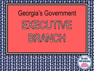 © Brain Wrinkles
Georgia’s Government
 