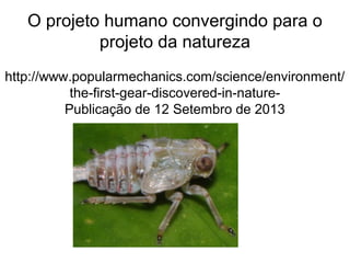O projeto humano convergindo para o
projeto da natureza
http://www.popularmechanics.com/science/environment/
the-first-gear-discovered-in-nature-
Publicação de 12 Setembro de 2013
 