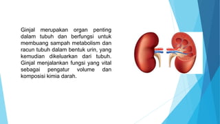 Ginjal merupakan organ penting
dalam tubuh dan berfungsi untuk
membuang sampah metabolism dan
racun tubuh dalam bentuk urin, yang
kemudian dikeluarkan dari tubuh.
Ginjal menjalankan fungsi yang vital
sebagai pengatur volume dan
komposisi kimia darah.
 
