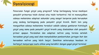 Patofisiologi
Penurunan fungsi ginjal yang progresif tetap berlangsung terus meskipun
penyakit primernya telah diatasi atau telah terkontrol. Hal ini menunjukkan
adanya mekanisme adaptasi sekunder yang sangat berperan pada kerusakan
yang sedang berlangsung pada penyakit ginjal kronik. Bukti lain yang
menguatkan adanya mekanisme tersebut adalah adanya gambaran histologik
ginjal yang sama pada penyakit ginjal kronik yang disebabkan oleh penyakit
primer apapun. Perubahan dan adaptasi nefron yang tersisa setelah
kerusakan ginjal yang awal akan menyebabkan pembentukan jaringan ikat dan
kerusakan nefron yang lebih lanjut. Demikian seterusnya keadaan ini
berlanjut menyerupai suatu siklus yang berakhir dengan gagal ginjal terminal
 
