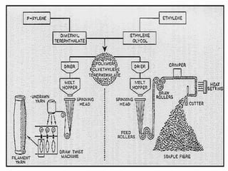 process of manufacturing and dyeing cotton,cotton-polyester,polyester | PPT