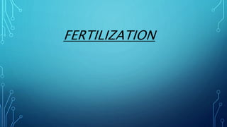 FERTILIZATION
 