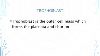 TROPHOBLAST
•Trophoblast is the outer cell mass which
forms the placenta and chorion
 