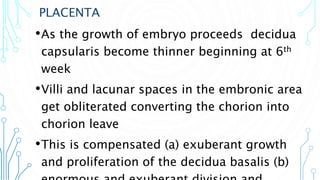 PLACENTA
•As the growth of embryo proceeds decidua
capsularis become thinner beginning at 6th
week
•Villi and lacunar spaces in the embronic area
get obliterated converting the chorion into
chorion leave
•This is compensated (a) exuberant growth
and proliferation of the decidua basalis (b)
 