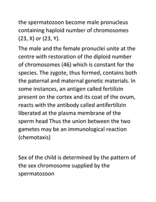 the spermatozoon become male pronucleus
containing haploid number of chromosomes
(23, X) or (23, Y).
The male and the female pronuclei unite at the
centre with restoration of the diploid number
of chromosomes (46) which is constant for the
species. The zygote, thus formed, contains both
the paternal and maternal genetic materials. In
some instances, an antigen called fertilizin
present on the cortex and its coat of the ovum,
reacts with the antibody called antifertilizin
liberated at the plasma membrane of the
sperm head Thus the union between the two
gametes may be an immunological reaction
(chemotaxis)
Sex of the child is determined by the pattern of
the sex chromosome supplied by the
spermatozoon
 