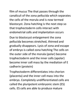 film of mucus The that passes through the
canaliculi of the zona pellucida which separates
the cells of the morula and is now termed
blastocyst. Zona hatching is the next step so
that trophectoderm cells interact with
endometrial cells and implantation occurs
Due to blastocyst enlargement the zona
pellucida becomes stretched, thinned and
gradually disappears. Lysis of zona and escape
of embryo is called zona hatching The cells on
the outer side of the morula (polar) become
trophectoderm and the inner cells (apolar)
become inner cell mass by the mediation of E
cadherin (protein)
Trophectoderm differentiates into chorion
(placenta) and the inner cell mass into the
embryo. Completely undifferentiated cells are
called the pluripotent embryonic stem (ES)
cells. ES cells are able to produce mature
 