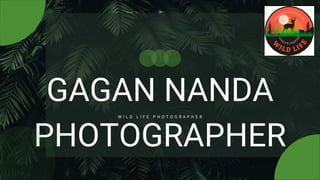 GAGAN NANDA
PHOTOGRAPHER
W I L D L I F E P H O T O G R A P H E R
 