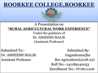 ROORKEE COLLEGE,ROORKEE
A Presentation on
“RURAL AGRICULTURAL WORK EXPERIENCE”
Under the guidance of
Dr. ASHEESH MALIK
(Assistant Professor)
Submitted To:- Submitted By:
Dr. ASHEESH MALIK Gagankumarjha
Assistant Professor Bsc Agriculture(2018-22)
Roll No:- 241189140053
Enrollment No:- SV18011208
 