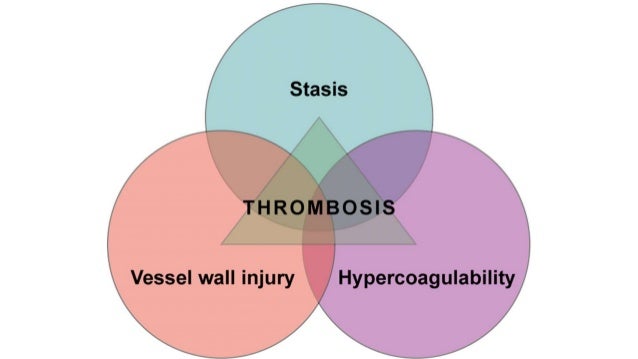Dvt Air Travel Prophylaxis Dvt Air Travel Prophylaxis