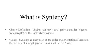 Synteny Genetics Understanding Synteny: Gene Order, Evolution, and Genomic Conservation ...
