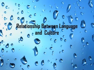 Relationship Between Language
and Culture

 