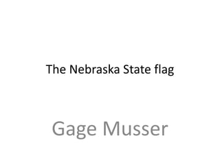 The Nebraska State flag



 Gage Musser
 