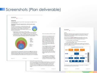 Screenshots (Plan deliverable)
 