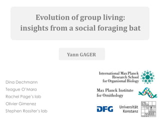 Evolution of group living:
insights from a social foraging bat
Dina Dechmann
Teague O’Mara
Rachel Page’s lab
Olivier Gimenez
Stephen Rossiter’s lab
Yann GAGER
 