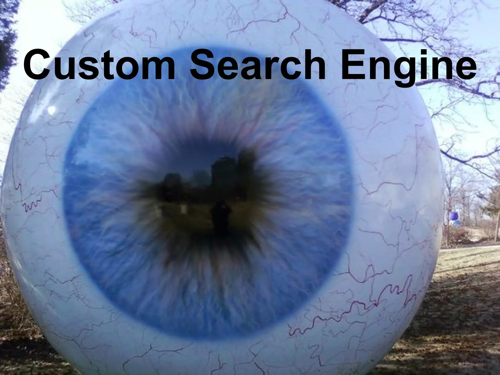 Custom Search Engine 