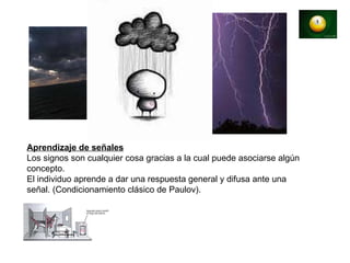 Aprendizaje de señales Los signos son cualquier cosa gracias a la cual puede asociarse algún concepto. El individuo aprende a dar una respuesta general y difusa ante una señal. (Condicionamiento clásico de Paulov). 