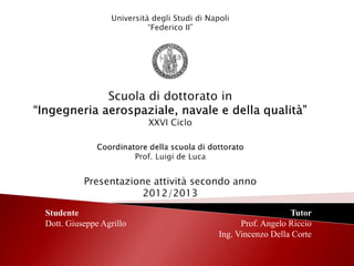 Studente
Dott. Giuseppe Agrillo
Tutor
Prof. Angelo Riccio
Ing. Vincenzo Della Corte
 