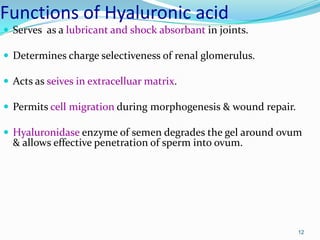 12
Functions of Hyaluronic acid
 Serves as a lubricant and shock absorbant in joints.
 Determines charge selectiveness of renal glomerulus.
 Acts as seives in extracelluar matrix.
 Permits cell migration during morphogenesis & wound repair.
 Hyaluronidase enzyme of semen degrades the gel around ovum
& allows effective penetration of sperm into ovum.
 