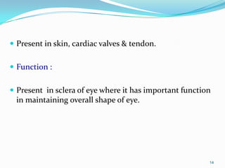  Present in skin, cardiac valves & tendon.
 Function :
 Present in sclera of eye where it has important function
in maintaining overall shape of eye.
14
 