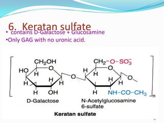 6. Keratan sulfate
18
• contains D-Galactose + Glucosamine
•Only GAG with no uronic acid.
 