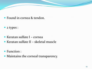  Found in cornea & tendon.
 2 types :
 Keratan sulfate І – cornea
 Keratan sulfate ІІ – skeletal muscle
 Function :
 Maintains the corneal transparency.
19
 