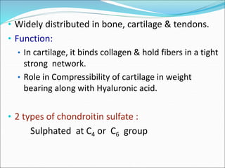 • Widely distributed in bone, cartilage & tendons.
• Function:
• In cartilage, it binds collagen & hold fibers in a tight
strong network.
• Role in Compressibility of cartilage in weight
bearing along with Hyaluronic acid.
• 2 types of chondroitin sulfate :
Sulphated at C4 or C6 group
 