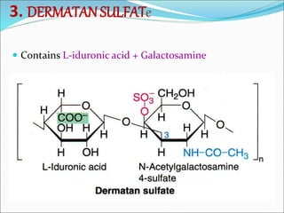 3. DERMATAN SULFATe
 Contains L-iduronic acid + Galactosamine
 